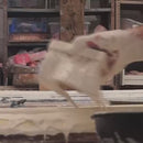 Broom Head Splash Brush (Coco Soft Bristle)