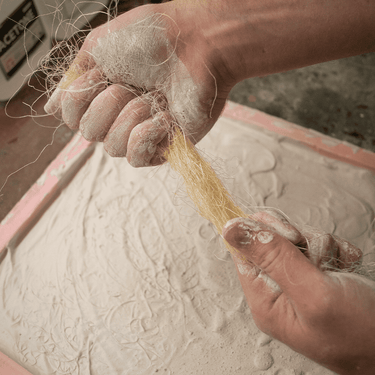 Sisal Fibre Reinforcement